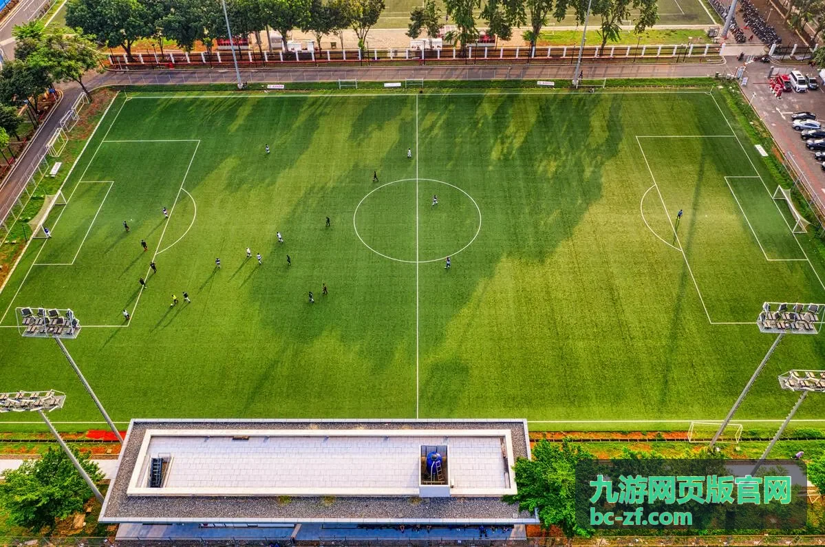 九游网页版官网账号安全设置页面示意图